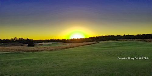 Mossy Oak Golf Club- Golf the Way Mother Nature Intended It